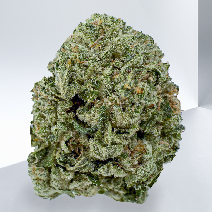 217-Purple-Kush.jpg
