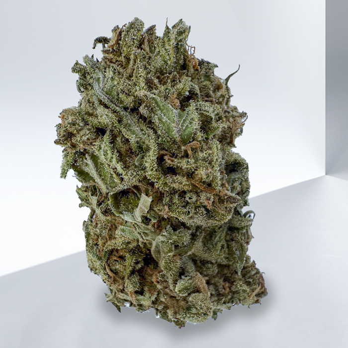 289-RECON-OG.jpg