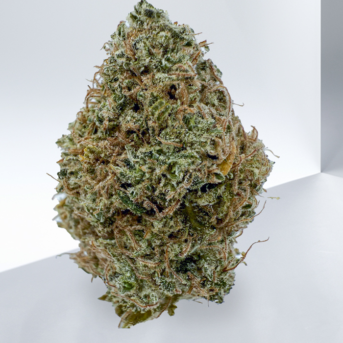 296-White-Shark-Kush.jpeg