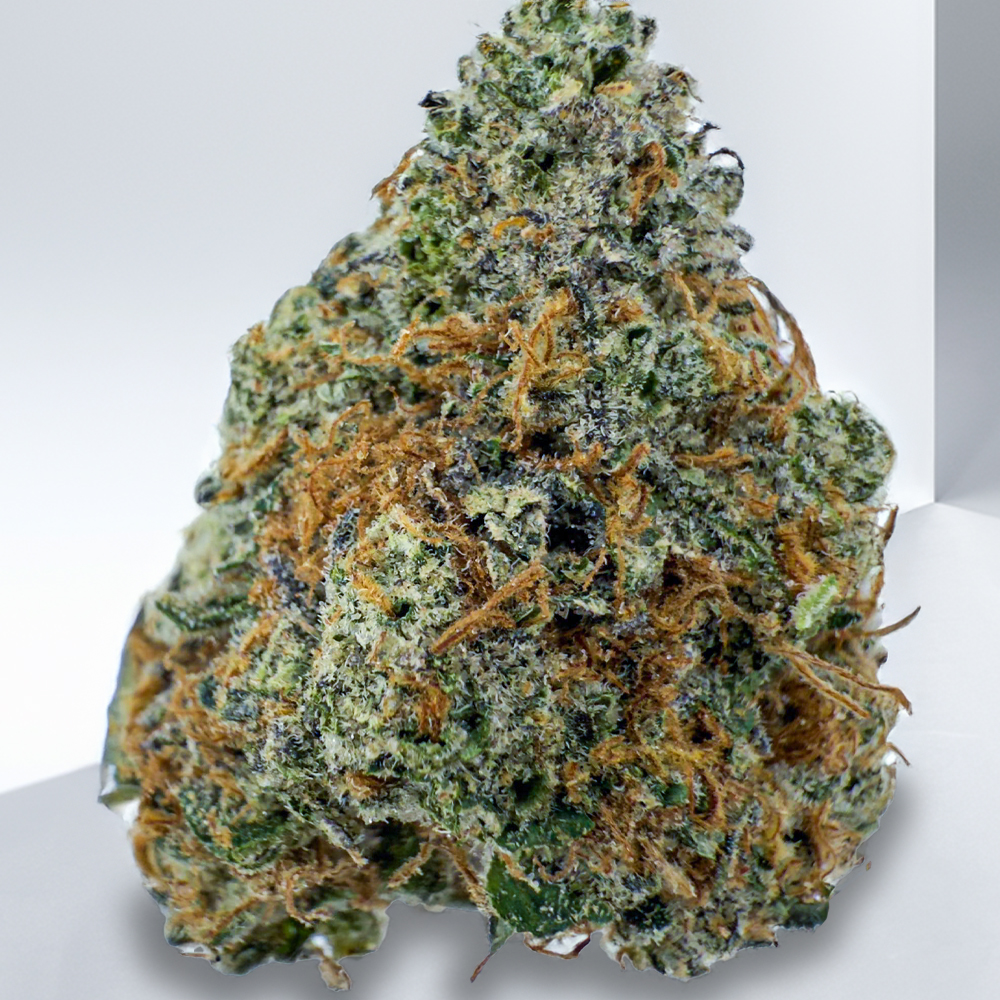 343-Critical-Black-Label-1.jpg