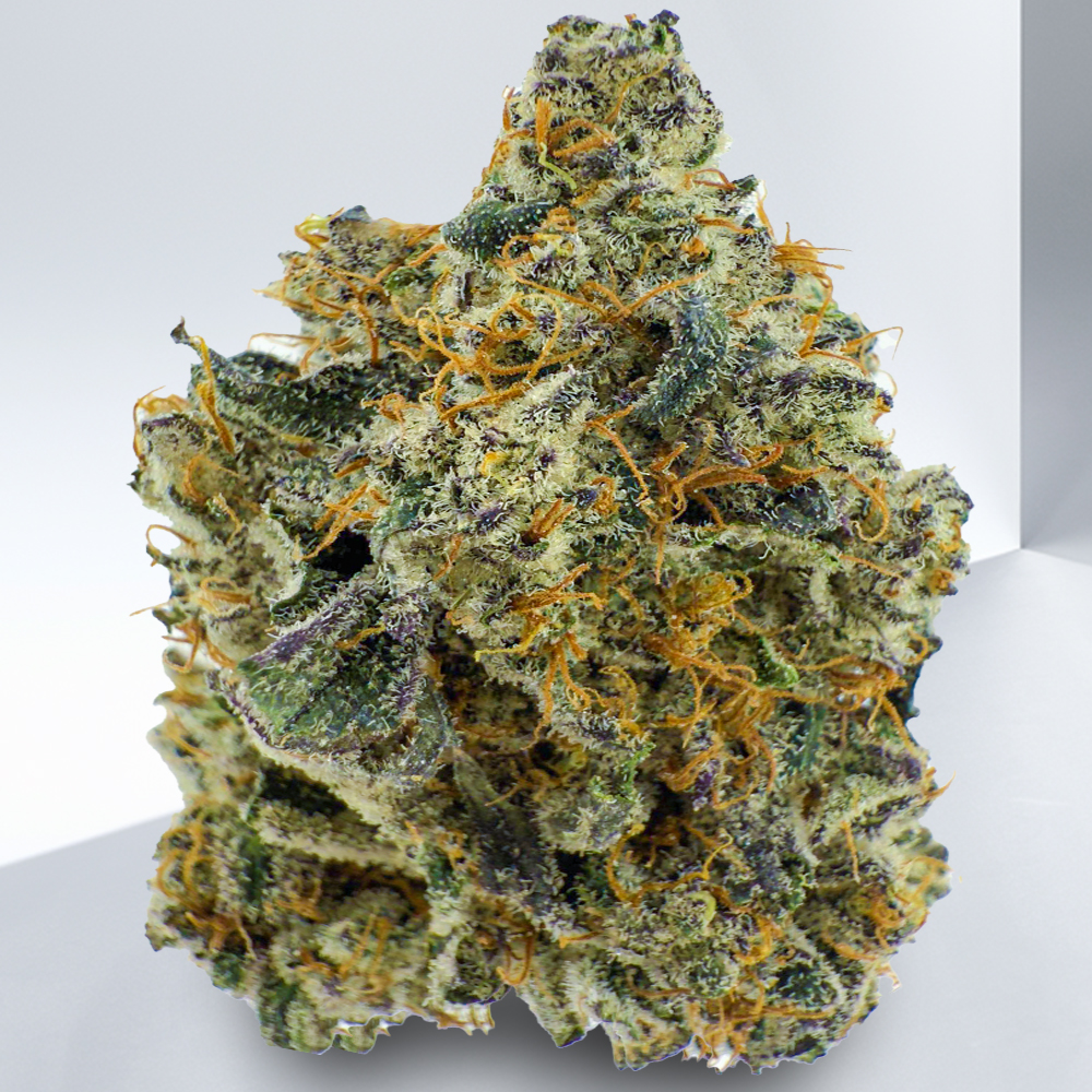 506-Pink-Gorilla-Glue.jpeg