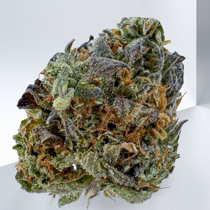 350-ANIMAL-COOKIES.jpg