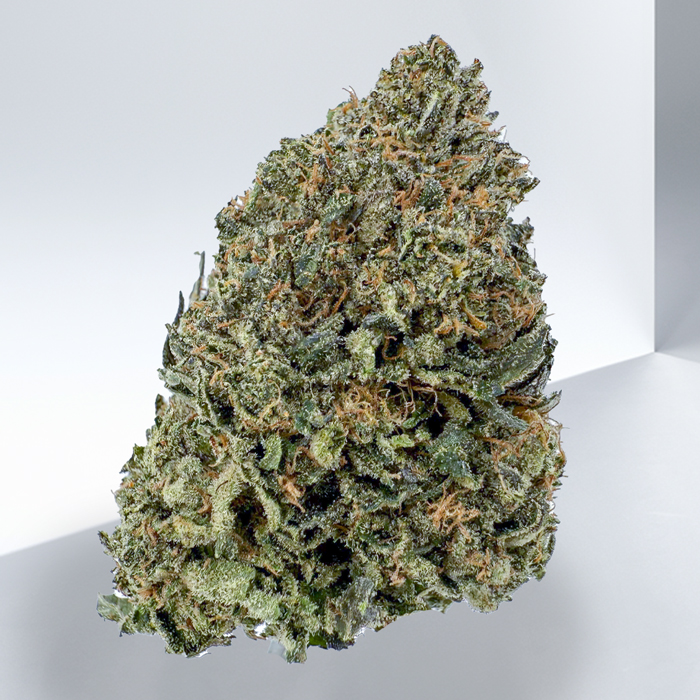 352-PINK-BUBBA-OG.jpg